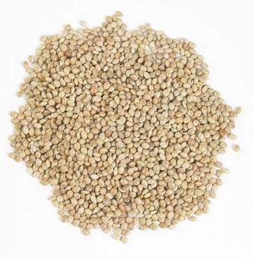Organic Proso Bird Millet Seed, for Cattle Feed, Style : Dried