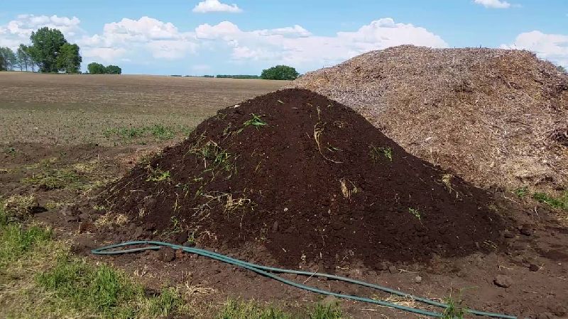 Composted Cow Manure