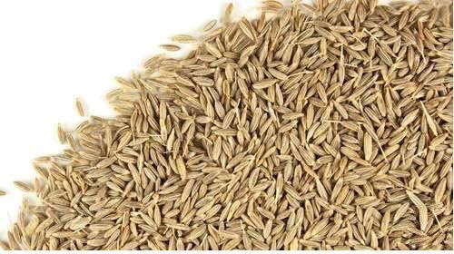 Fresh Cumin Seeds, For Cooking, Style : Dried