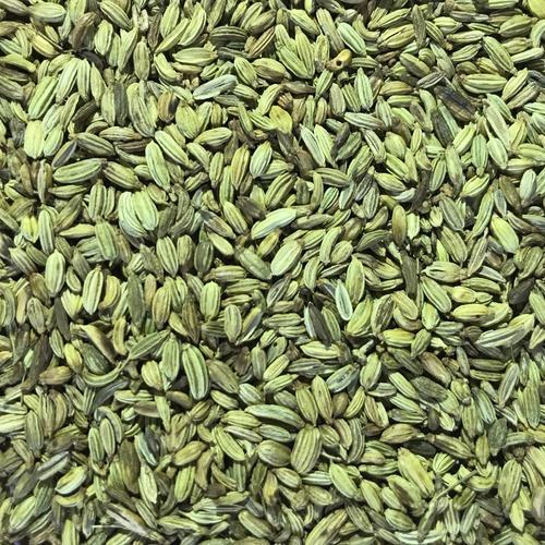 Green Fennel Seeds, Shelf Life : 12 Months