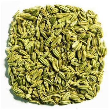 Green Saunf Seeds, for Cooking