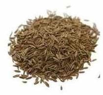 Loose Cumin Seeds, for Cooking, Packaging Type : Gunny Bags, Jute Bag, Plastic Packets