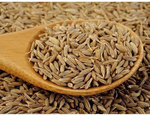 Natural Cumin Seeds, for Cooking, Feature : Premium Quality