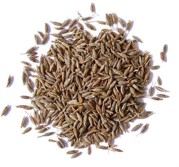 Brown Cumin Seeds, Packaging Type : PP Bag, Plastic Bag, Gunny Bag