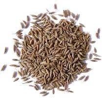 Cumin seeds, for Cooking, Feature : Non Harmful, Premium Quality
