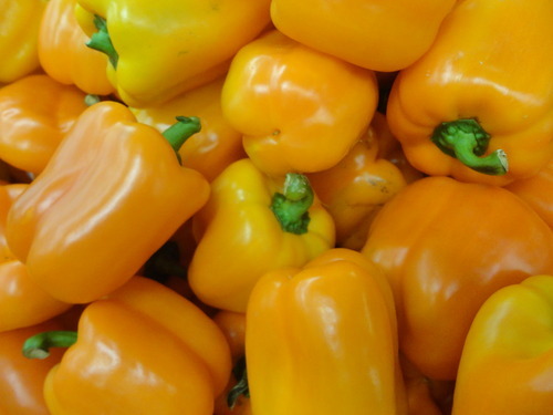 Round Common Fresh Yellow Capsicum