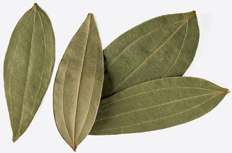 Cinnamomum Tamala