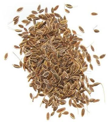 Dill Herbal Seeds