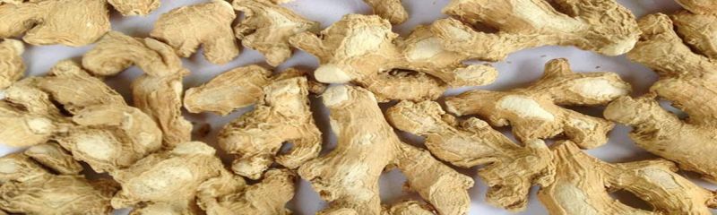 Dried Ginger Finger