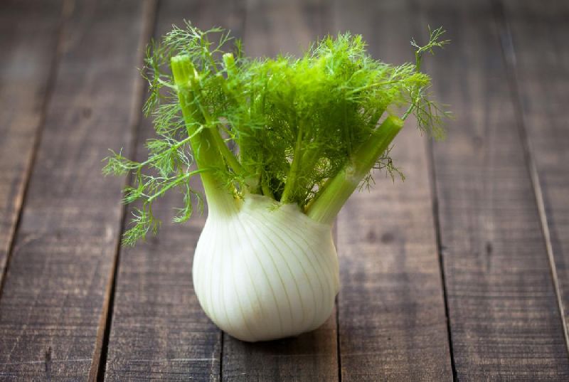 Fennel Bulbs