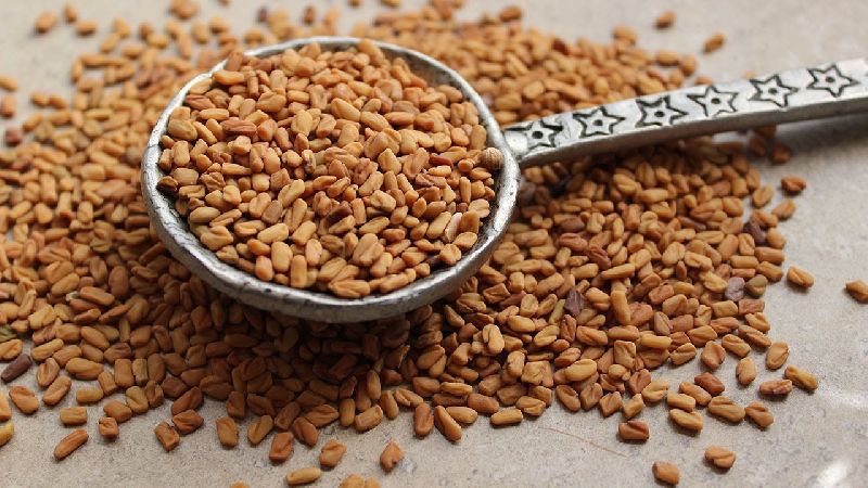 Organic Natural Fenugreek Seeds, for Used add taste flavor in food, Packaging Size : 5-50 kg