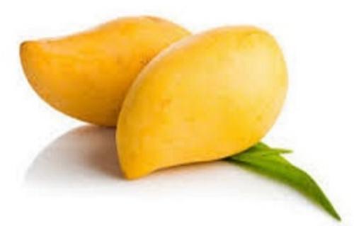 Chaunsa Mango