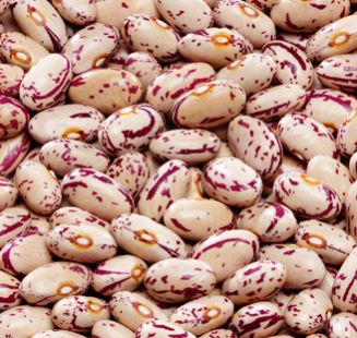Common light speckled kidney beans, Packaging Size : 25kg 50kg