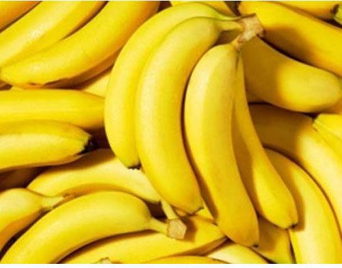 Organic fresh banana, Feature : Easily Affordable, Healthy Nutritious, High Value