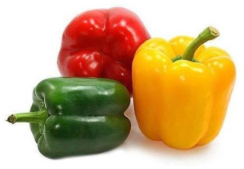 Fresh capsicum, Shelf Life : 5-7days