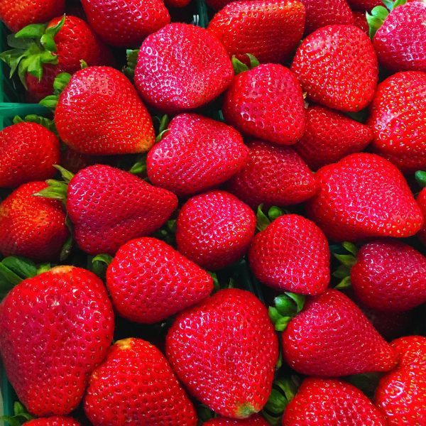 Organic Fresh Strawberry