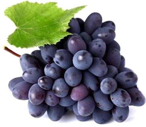 Organic Black Grapes, Shelf Life : 15 Days