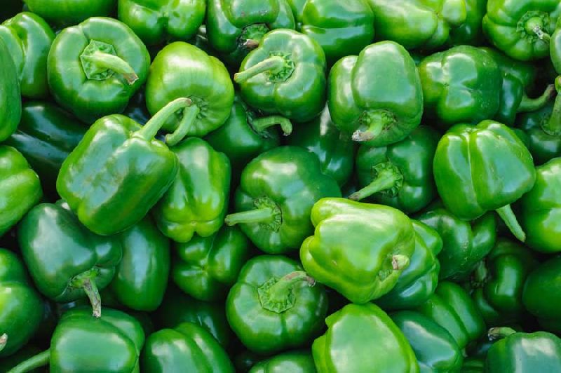 Organic Capsicum, Certification : FDA Certified