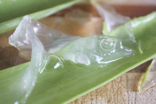 Pure Aloe Vera Pulp, for Parlour, Personal, Packaging Type : Plastic Pouch