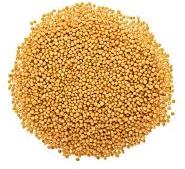 mustard seeds