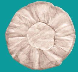 Disposable Non Woven Bouffant Cap