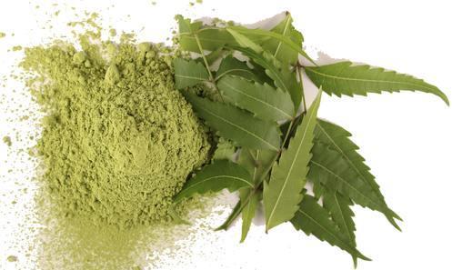 Natural Neem Leaf Powder, for Ayurvedic Medicine, Cosmetic Products, Herbal Medicines, Color : Green
