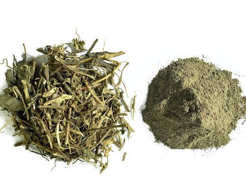 Organic Bhringraj Powder, Purity : 100%