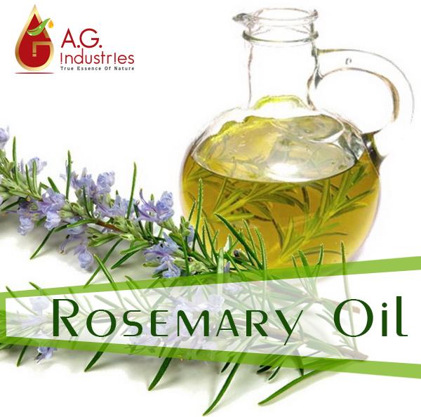 Rosemary Oil