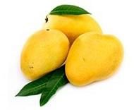 fresh mango