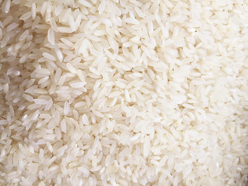 Steam Sona Masoori Non Basmati Rice