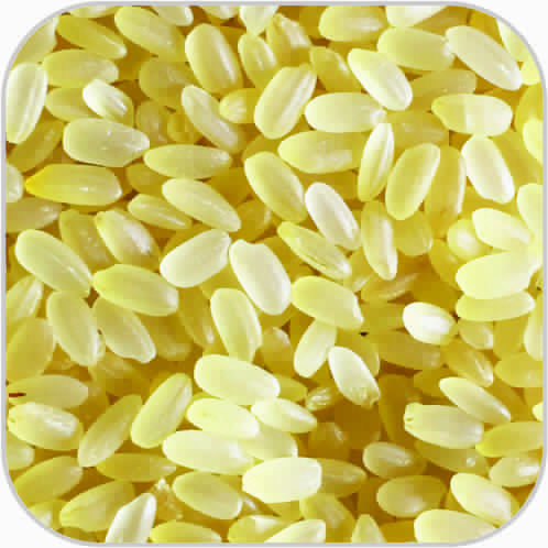 Round grain parboiled rice