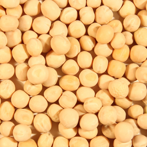 Whole Yellow Peas, Color : Fair