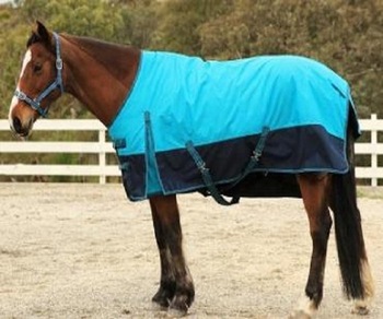 OEM Kanpur horse rug, Feature : Ecofriendly