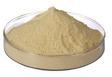 Soya Protein Hydrolysate Powder