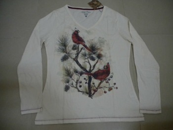 Ladies long sleeve v-neck