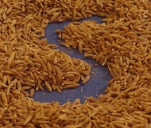 Cumin seeds, Shelf Life : 12 months