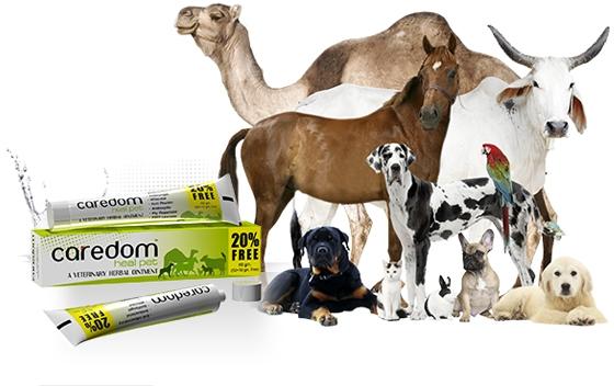Veterinary Herbal Ointment