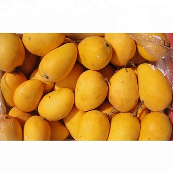 JF Common Mango, Color : Yellow