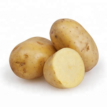 JF Potato, Shape : Round