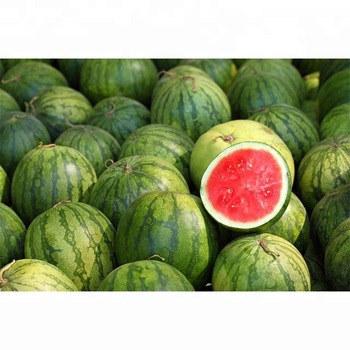 JF Common watermelon, Certification : ISO