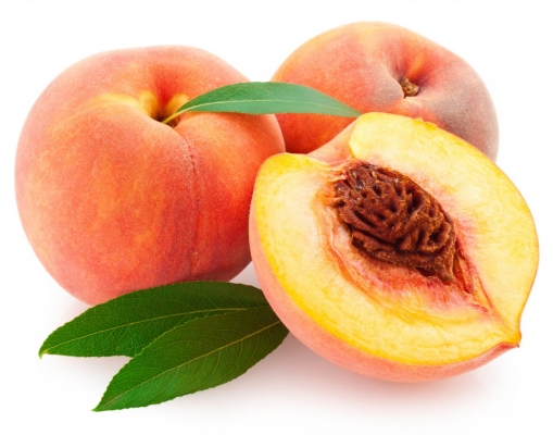 Punjab Peach at best price in Fatehabad Haryana from Shri Ram Nursery and  Gardens | ID:4773953