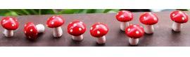 mushrooms for planter