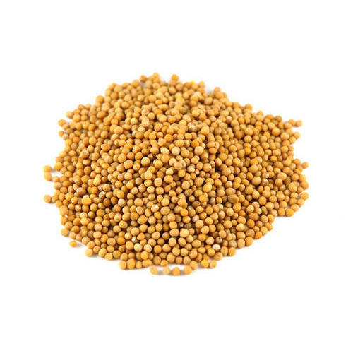 Dried Mustard Seeds, Packaging Type : Jute Bag, Plastic Bag