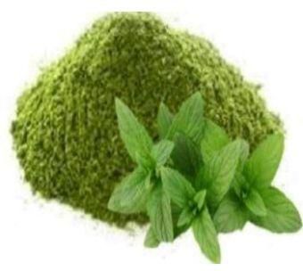 Organic Mint Powder, Shelf Life : 1years