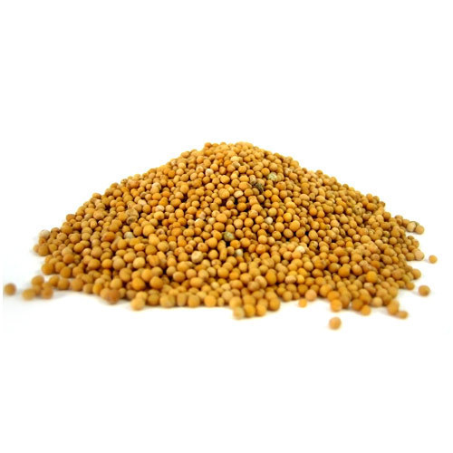 Pure Mustard Seeds