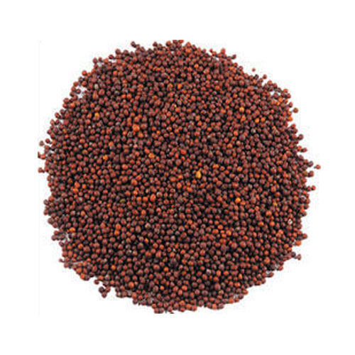 Red Mustard Seeds, Packaging Size : 15-20kg
