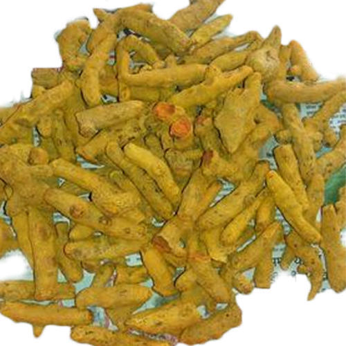 Natural Dried Whole Turmeric Finger, Color : Orange Yellow