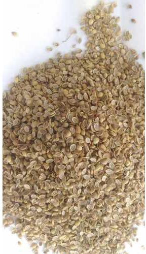 Natural Split Coriander Seeds, for Cooking, Packaging Type : Jute Bags, PP Bags
