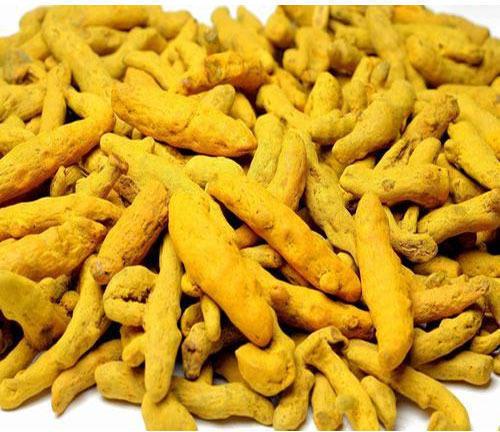 Organic Dry Turmeric Finger, Color : Yellow