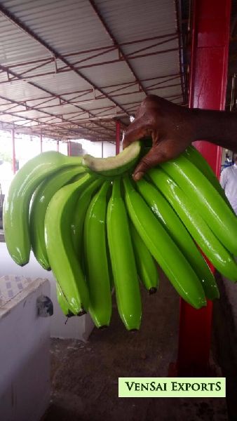 Common Fresh Cavendish Banana, Color : Green